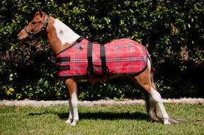 Kensington Pony Fly Sheet #161 Red Plaid - RM Tack & Apparel