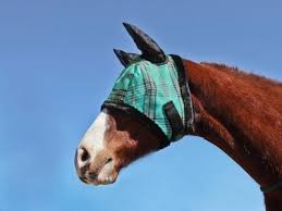 Kensington Protective Products Fly Mask With Ears And Fleece Trim - RM Tack & Apparel