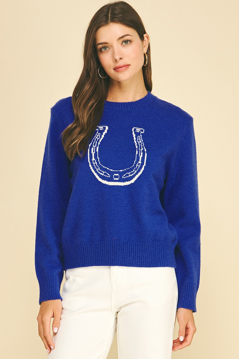 W Horseshoe Graphic Knit Sweater