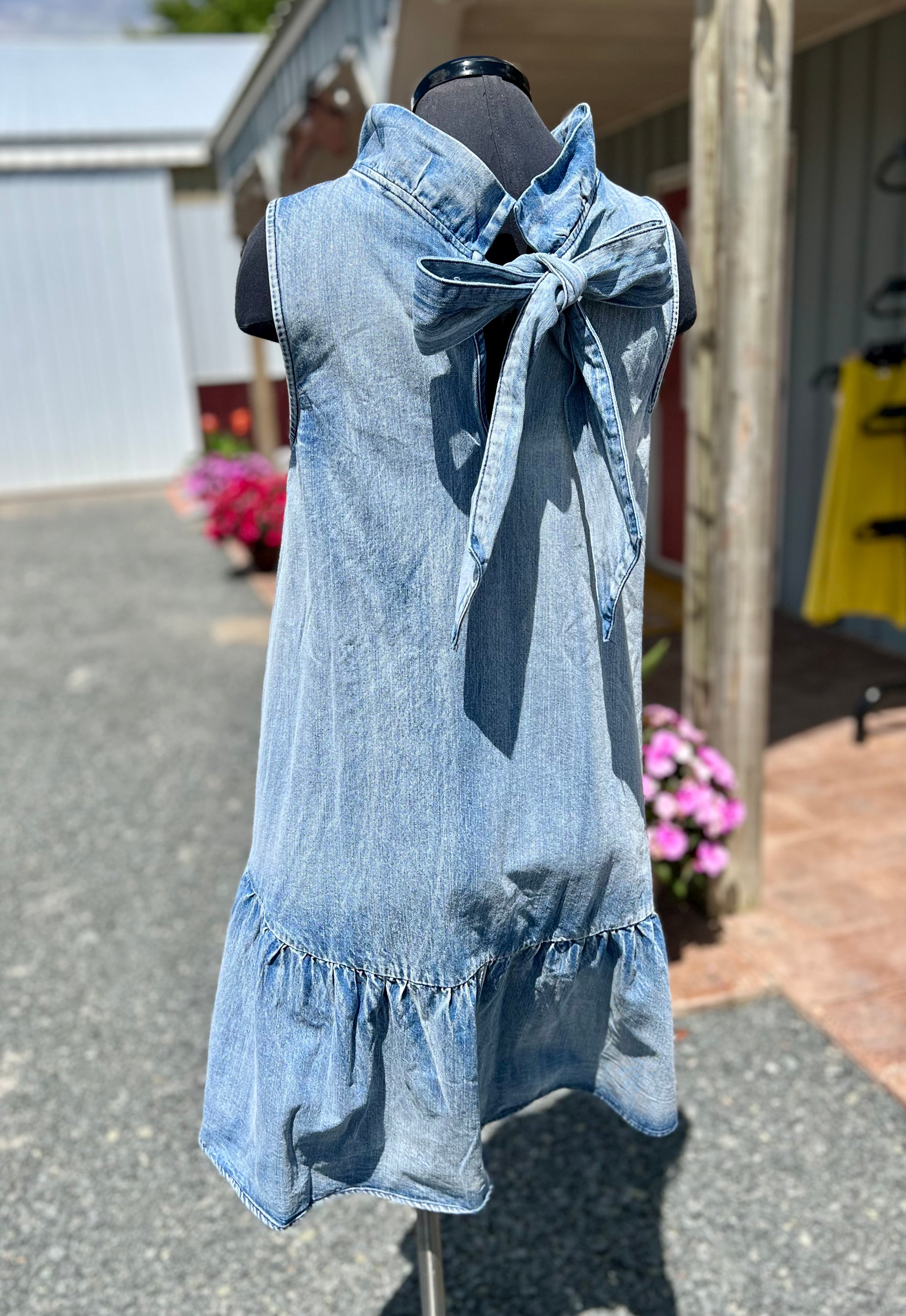 Denim Shift Ruffle Dress