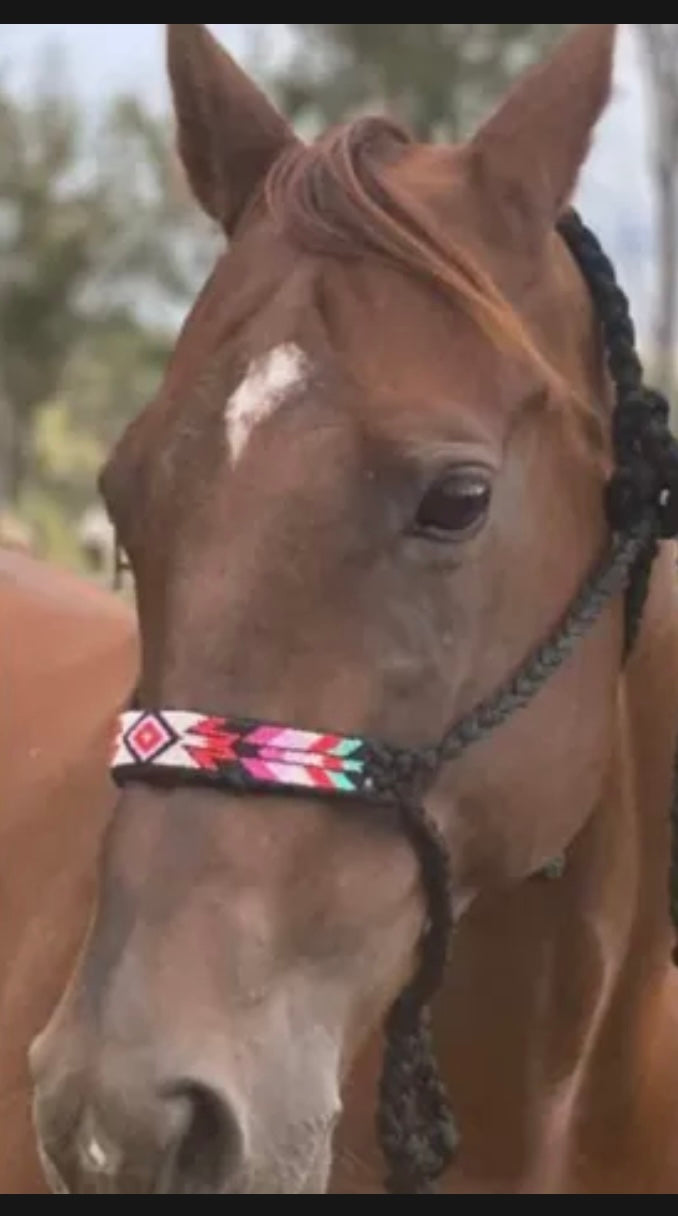 Mule Tape Halter with 10' Lead & Beaded Nose Band