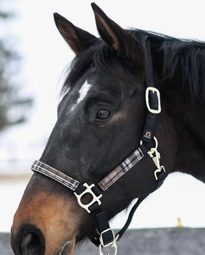 Kensington Halter