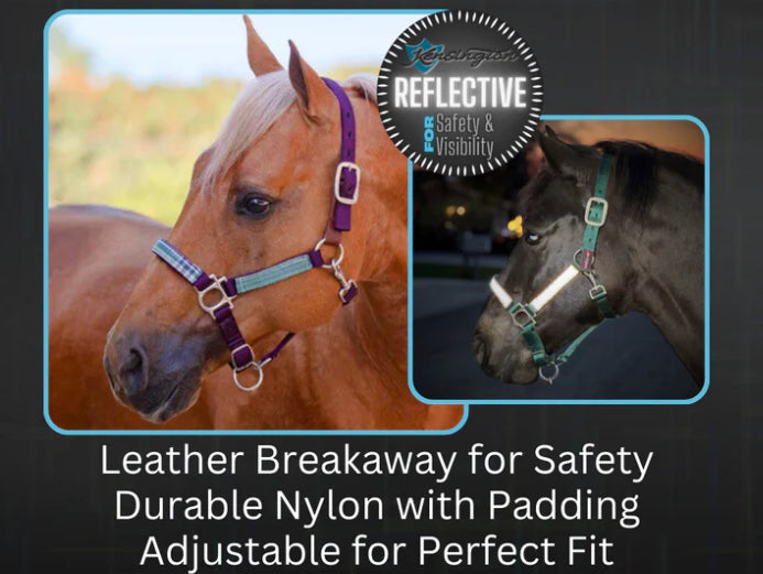 Kensington Breakaway Halter