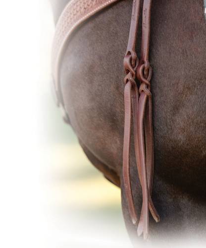 Popper Tail Heavy Oiled Split Reins