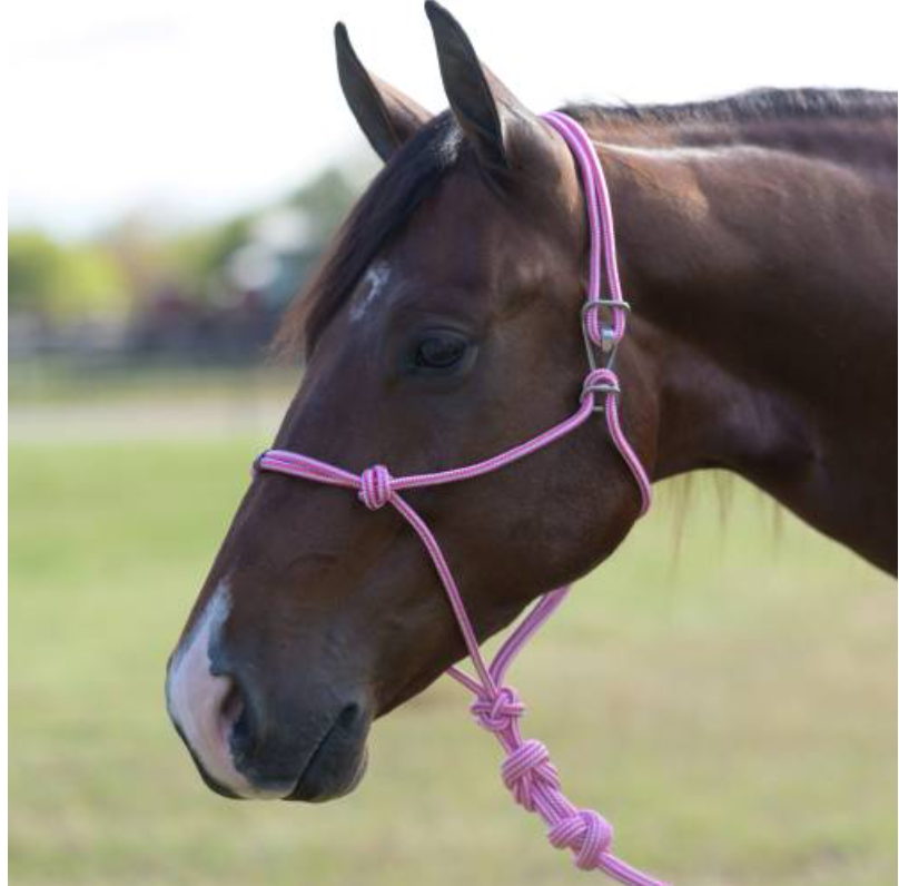 Professional Choice Pink Pony Rope Halter