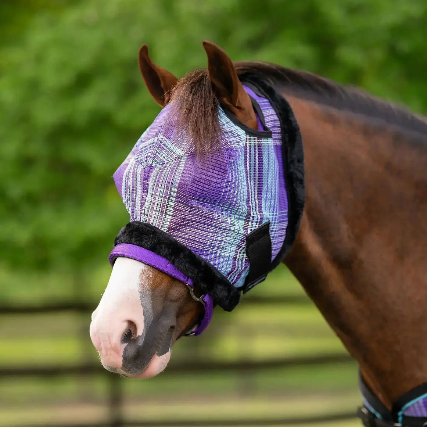 Kensington Protective Products Pony Fly Mask With NO EARS