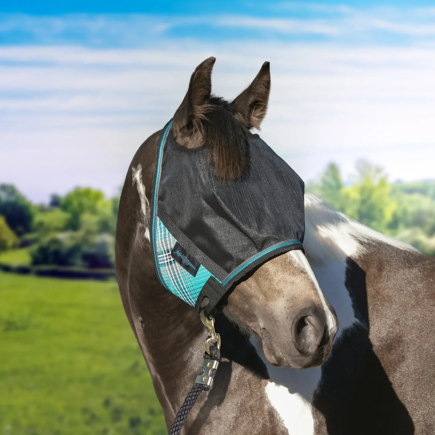 Kensington UViator CatchMask w/Ears & Removable Nose & Forelock Opening