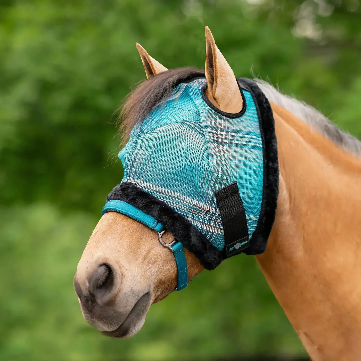 Kensington Protective Products Pony Fly Mask With NO EARS