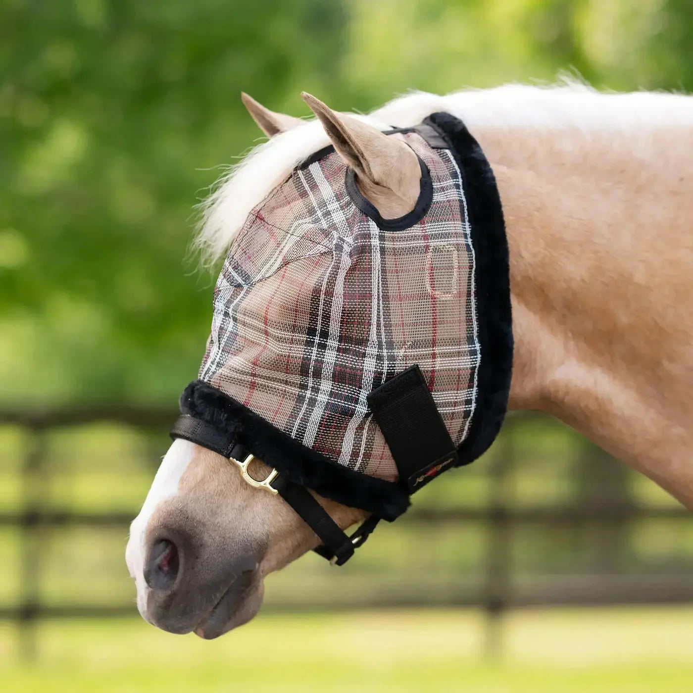 Horse Clothing