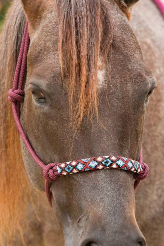Professional's Choice Beaded Rope Halter - RM Tack & Apparel