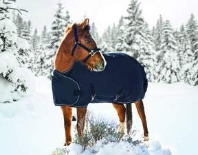 Kensington All Around Foal 1200 Denier Medium Weight Turnout Blanket-Black - RM Tack & Apparel